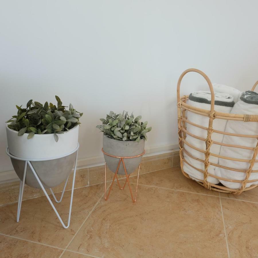 Willa Ebli House San Miguel De Salinas Zewnętrze zdjęcie